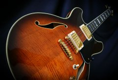 Guitarra Ibanez JSM100 - 2006 (John Scofield Model) - Foto 2
